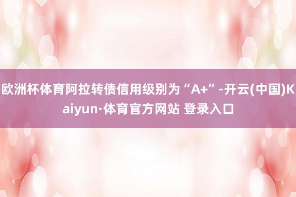 欧洲杯体育阿拉转债信用级别为“A+”-开云(中国)Kaiyun·体育官方网站 登录入口