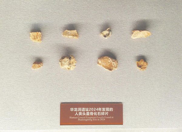 欧洲杯体育“华龙洞东谈主生活在约30万年前-开云(中国)Kaiyun·体育官方网站 登录入口