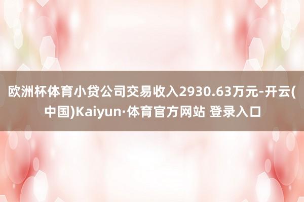 欧洲杯体育小贷公司交易收入2930.63万元-开云(中国)Kaiyun·体育官方网站 登录入口