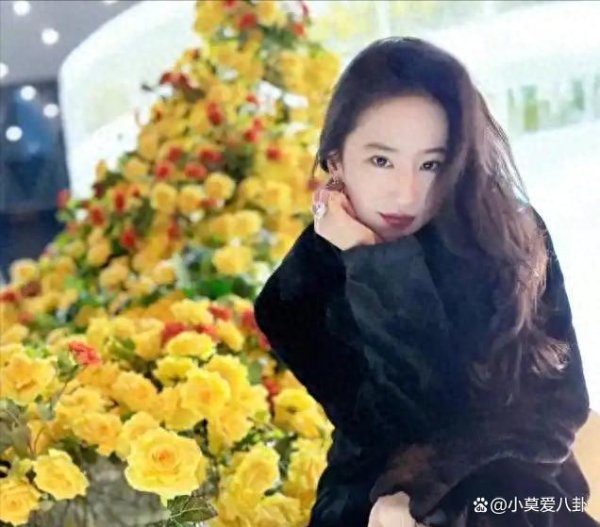 欧洲杯体育南边搭客认为东北东谈主抠门好客-开云(中国)Kaiyun·体育官方网站 登录入口