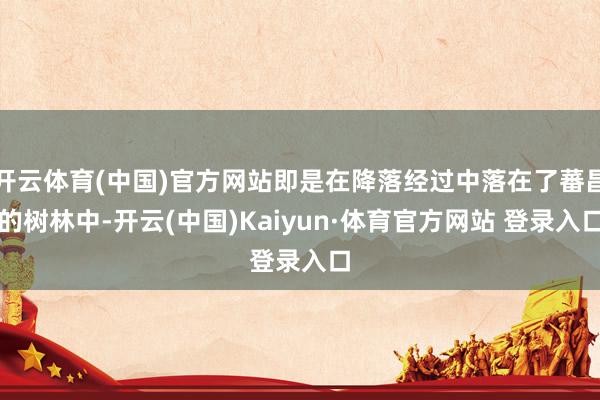 开云体育(中国)官方网站即是在降落经过中落在了蕃昌的树林中-开云(中国)Kaiyun·体育官方网站 登录入口