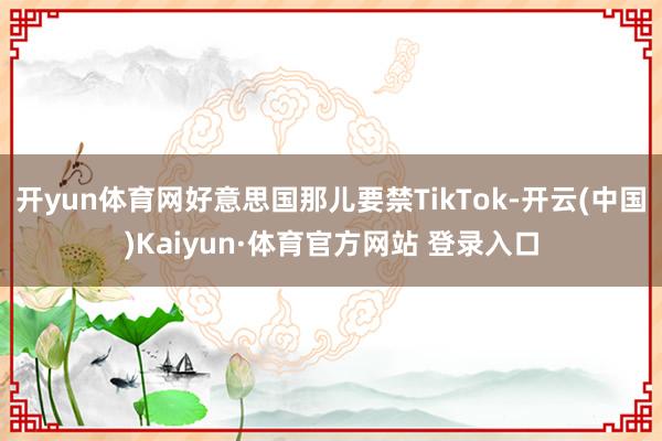 开yun体育网好意思国那儿要禁TikTok-开云(中国)Kaiyun·体育官方网站 登录入口