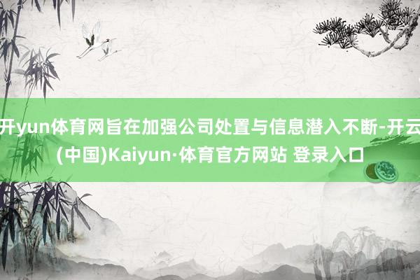 开yun体育网旨在加强公司处置与信息潜入不断-开云(中国)Kaiyun·体育官方网站 登录入口