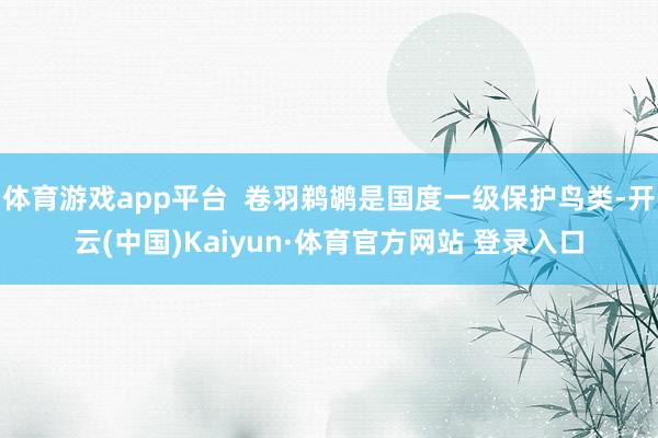 体育游戏app平台 卷羽鹈鹕是国度一级保护鸟类-开云(中国)Kaiyun·体育官方网站 登录入口