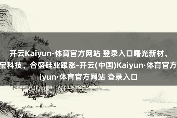 开云Kaiyun·体育官方网站 登录入口曙光新材、宏柏新材、硅宝科技、合盛硅业跟涨-开云(中国)Kaiyun·体育官方网站 登录入口