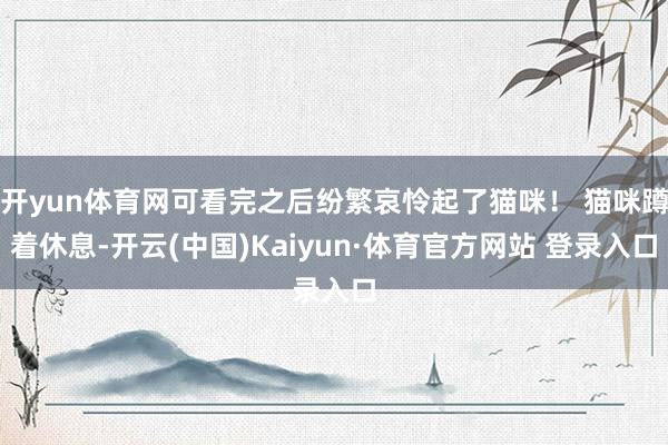 开yun体育网可看完之后纷繁哀怜起了猫咪！ 猫咪蹲着休息-开云(中国)Kaiyun·体育官方网站 登录入口
